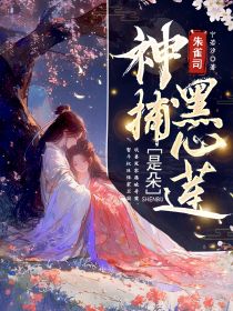 朱雀司神捕是朵黑心莲小说在线阅读，主角夏听雨薛靖南精彩段落最新篇