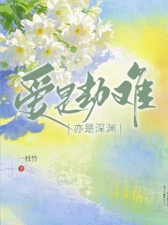 主角路黎贺时谦小说爆款爱是劫难，亦是深渊完整版小说