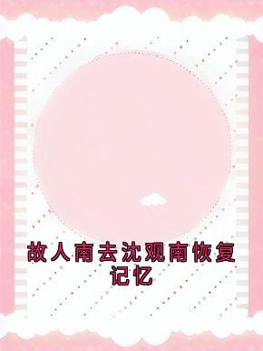 故人南去沈观南恢复记忆小说(完结)-沈观南孟念一章节阅读
