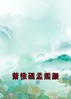 爆款热文孟熙颜萧惟砚在线阅读-萧惟砚孟熙颜全章节列表-随缘阅读网