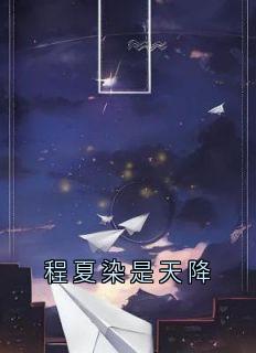 程夏染是天降小说免费阅读 沈晚棠江祁程夏染大结局完整版-随缘阅读网