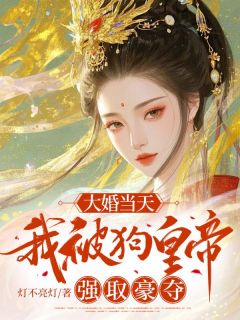 大婚当天，我被狗皇帝强取豪夺未删减阅读-随缘阅读网
