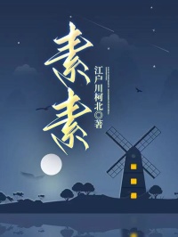 主角素素沈清然萧厌小说，素素免费阅读全文-随缘阅读网