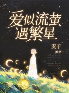 爱似流萤遇繁星沐星澜陆司沉全章节完结版在线阅读