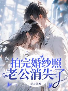 抖音拍完婚纱照，老公消失了txt小说阅读