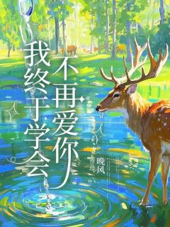 火爆我终于学会不再爱你小说，主角是孟婉顾城在线阅读全文无删减
