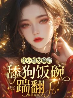 抖音爆款小说沈小姐发癫后，舔狗饭碗踹翻了沈念安霍瑾川免费txt全文阅读