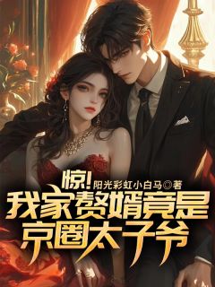 惊！我家赘婿竟是京圈太子爷小说的书名是什么