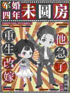 最新小说军婚四年未圆房，重生改嫁他急了主角沈璐陆九生全文在线阅读