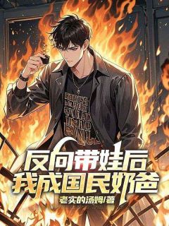 反向带娃后,我成国民奶爸艾辰坤坤免费全章节目录阅读-随缘阅读网