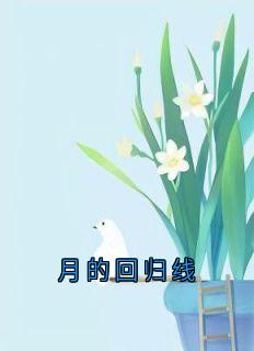 沈月张杨主角小说月的回归线抖音文免费阅读全文-随缘阅读网