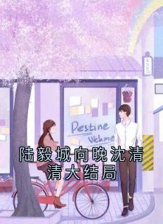良心推荐陆毅城向晚沈清清大结局小说试读