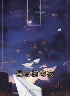 暴雨惊魂夜陆舟吴佳小说_暴雨惊魂夜完结版阅读