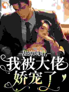 甜撩成婚，我被大佬娇宠了小说的书名是什么