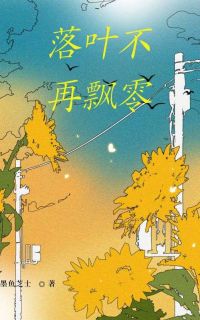 落叶不再飘零小说(完本)-周漾沈舒无错版阅读-随缘阅读网