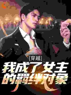 好文热推小说穿越：我成了女主的羁绊对象主角陆乾柳如樾全文在线阅读