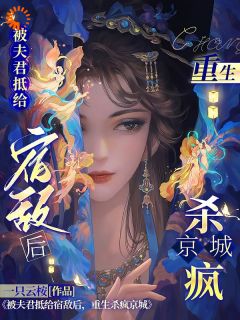 被夫君抵给宿敌后，重生杀疯京城小说全章节目录阅读BY一只云桉完结版阅读