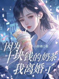 因为十块的奶茶，我离婚了全文目录-季长民杨婉珊小说无弹窗阅读