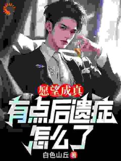 愿望成真，有点后遗症怎么了by白色山丘小说完结版在线阅读