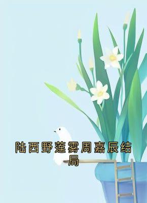 陆西野莲雾周嘉辰结局小说在线阅读,主角连雾陆西野精彩段落最新篇-随缘阅读网