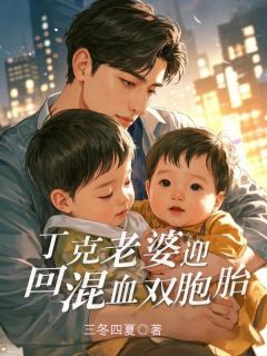 主角姜慕瑶陆子明小说，丁克老婆迎回混血双胞胎免费阅读全文