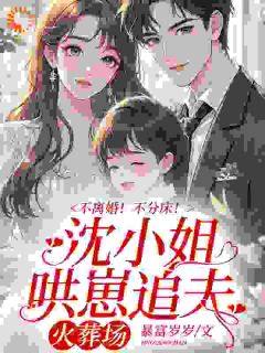 爆款小说重生后，傲娇千金每天都在追夫-主角沈念安霍瑾川在线阅读-随缘阅读网