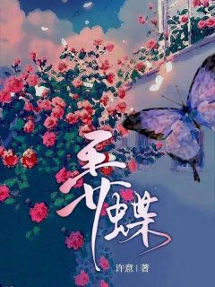 弄蝶无弹窗在线阅读