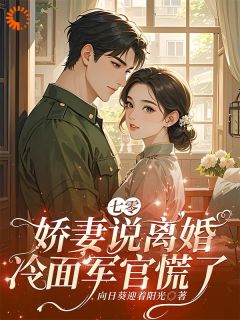 七零，娇妻说离婚，冷面军官慌了全集小说_沈黎书贺萧完结版阅读-随缘阅读网