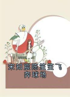 老书虫看了N遍的宋知宸陈笙笙飞奔球场最新章节-随缘阅读网
