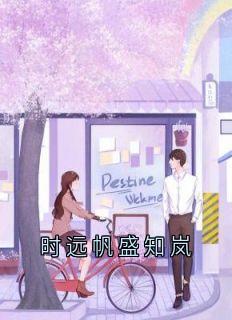 主人公盛知岚时远帆小说时远帆盛知岚在线全文阅读