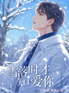 雪落时才知爱你百度云by芒果西米路免费阅读小说大结局-随缘阅读网