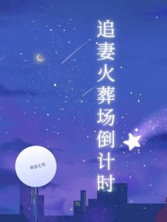 追妻火葬场倒计时精彩小说-追妻火葬场倒计时目录阅读