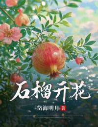 石榴花开未删减阅读