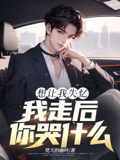精品小说想让我失忆，我走后，你哭什么全文目录畅读