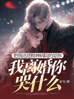 高质量小说把我送进精神病院的是你，我离婚你哭什么在线试读