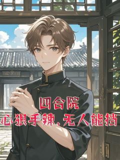 抖音爆款小说四合院：心狠手辣，无人能挡！韩立许大茂何雨柱免费txt全文阅读