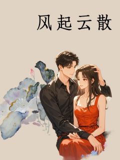 风起云散小说免费阅读 李婉婷季云大结局完整版