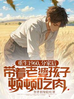 重生1960，分家后带着老婆孩子顿顿吃肉章节目录小说-刘东沈清月免费阅读全文