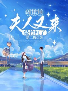 周律师，夫人又来敲竹杠了by楚二狗