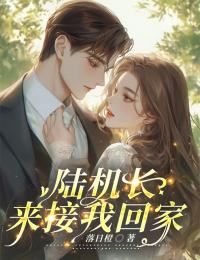 抖音小说陆机长，来接我回家陈知音陆云舟全文txt