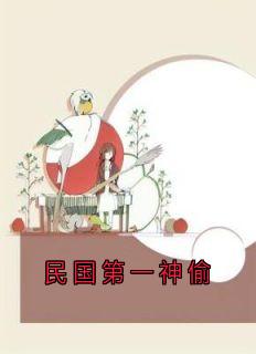 小说民国第一神偷主角为陈智信老张免费阅读