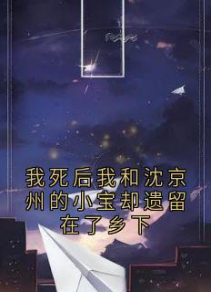 我死后我和沈京州的小宝却遗留在了乡下小说沈京州小宝最新章节阅读-随缘阅读网