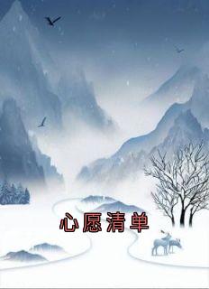 心愿清单【全章节】宁昊司诗雅完结版免费阅读