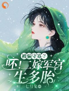 新上被骗守寡？呸！二嫁军官生多胎七月兔小说免费阅读