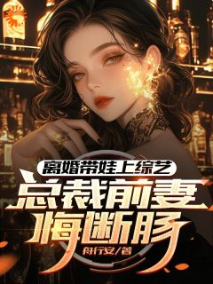 快手热文娃综：一首哄睡曲，轰动歌坛沈君赵婉仪小说推荐