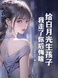 正版小说给白月光生孩子，我走了你后悔啥！云辰叶晚晴在线免费阅读