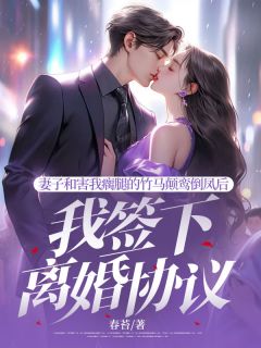 妻子和害我瘸腿的竹马颠鸾倒凤后，我签下离婚协议章节目录小说-盛嘉华宋淮之苏婉莹免费阅读全文