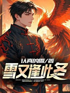 司辰佑宋暮颜小说雪又逢此冬全文阅读-随缘阅读网