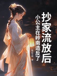 颜宁季兰主角抖音小说抄家流放后，小公主在岭南造反了在线阅读