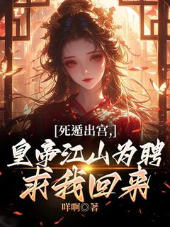 抖音第一章再也不说自己是先皇后了小说章节阅读